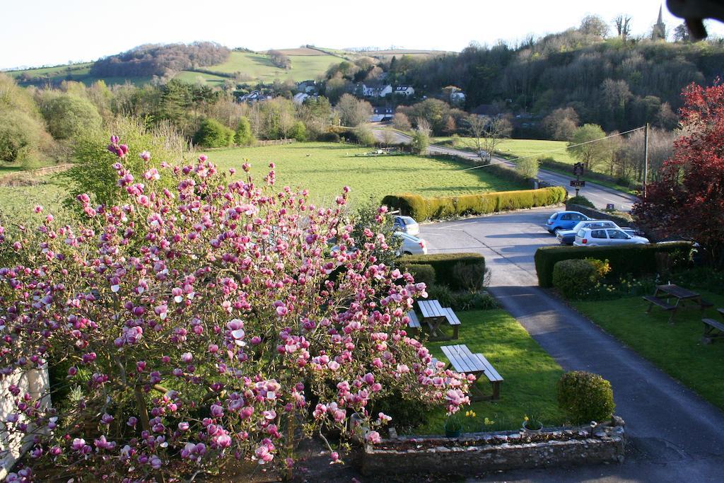 Furzeleigh Mill Inn Buckfastleigh Dış mekan fotoğraf